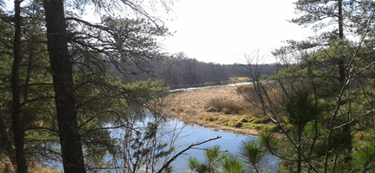 View from the top of the trees of the Crow Wing River